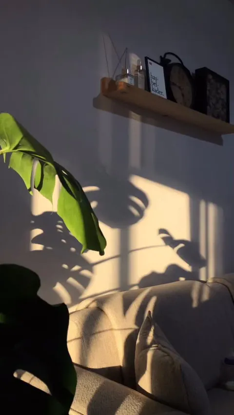 Tem situações que parecem pequenas no dia a dia, mas mudam completamente a forma como você aproveita o ambiente....